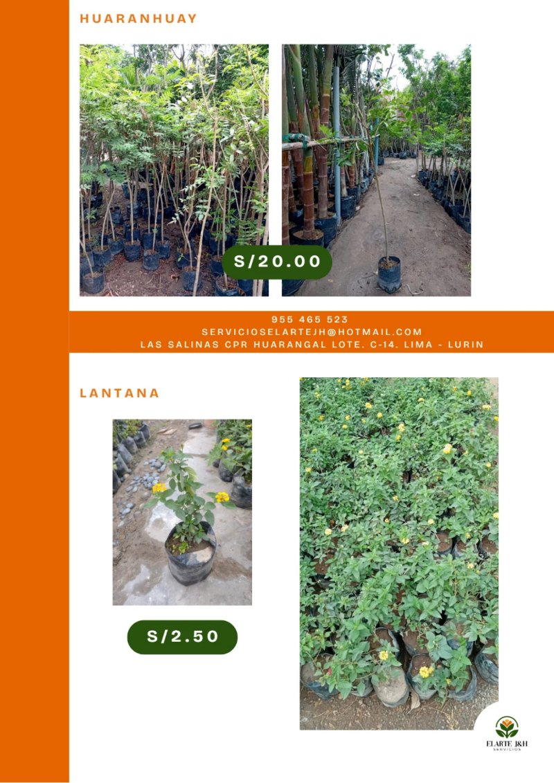 CATALOGO VIVERO ELARTE — page 19
