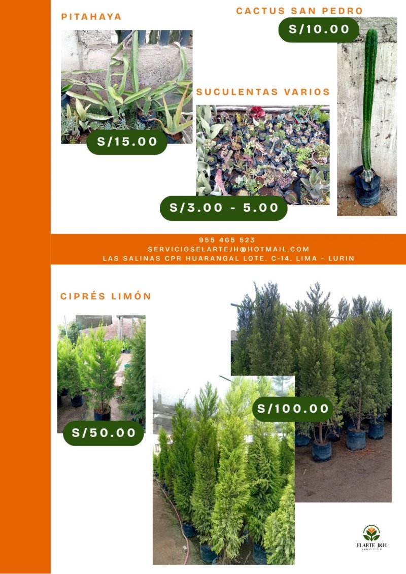 CATALOGO VIVERO ELARTE — page 3
