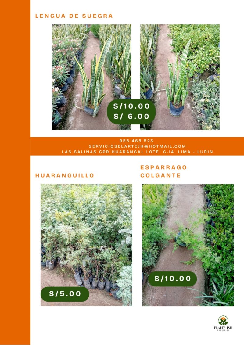CATALOGO VIVERO ELARTE — page 21