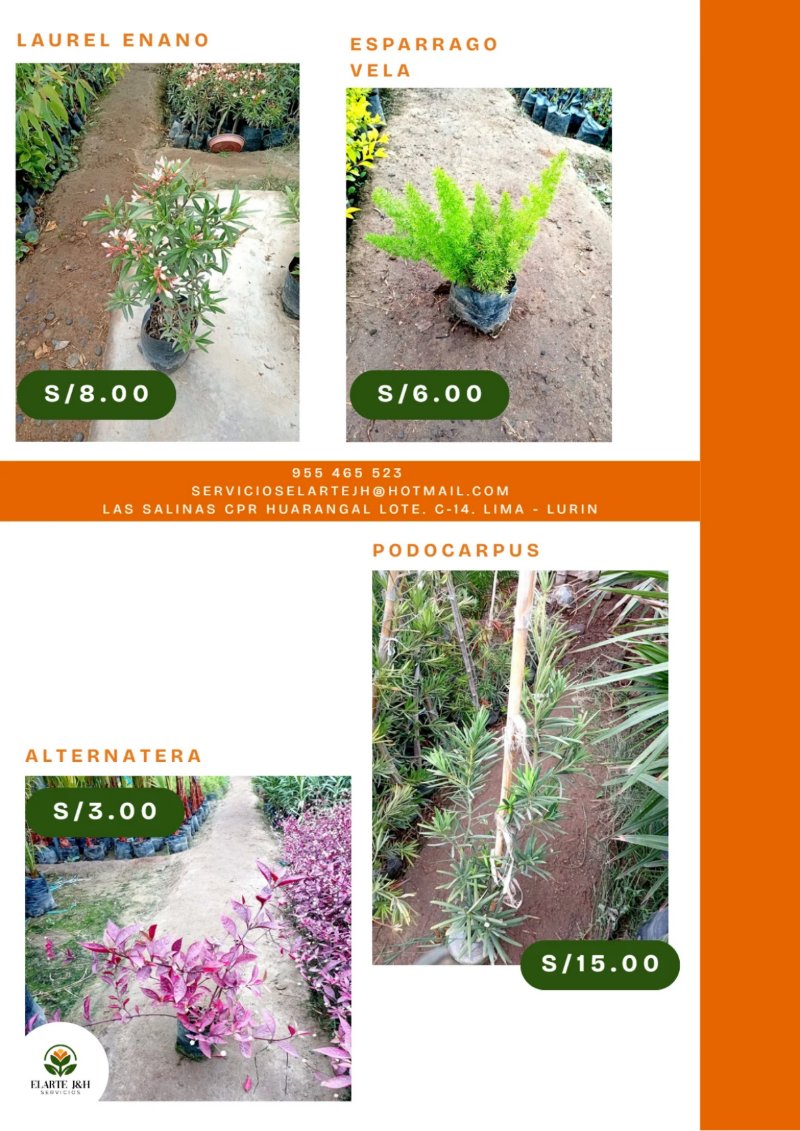 CATALOGO VIVERO ELARTE — page 22