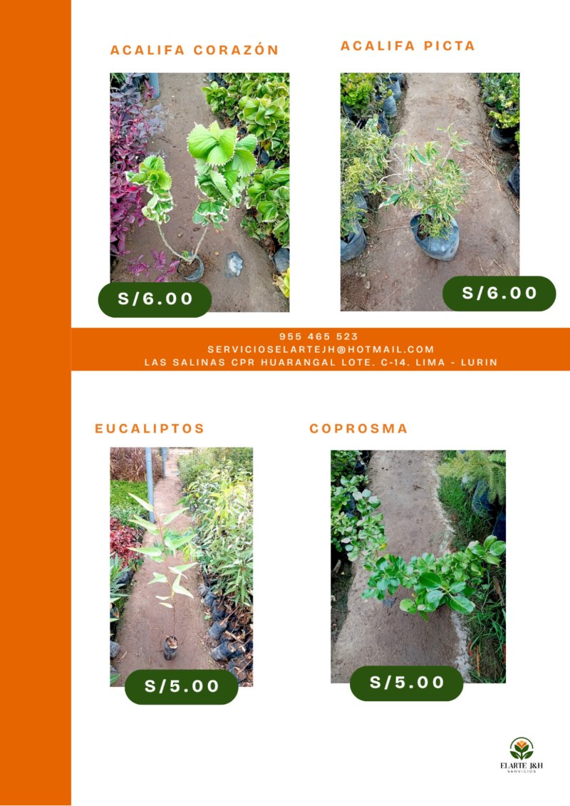 CATALOGO VIVERO ELARTE — page 23