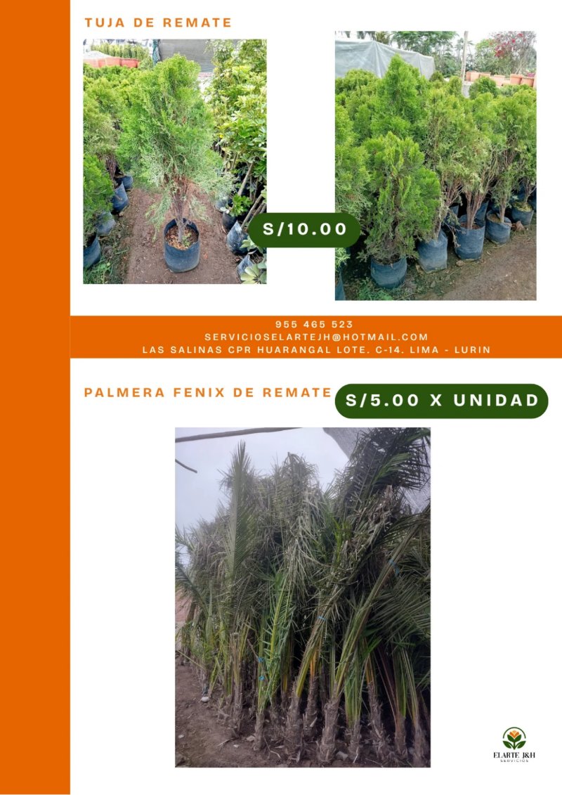 CATALOGO VIVERO ELARTE — page 25