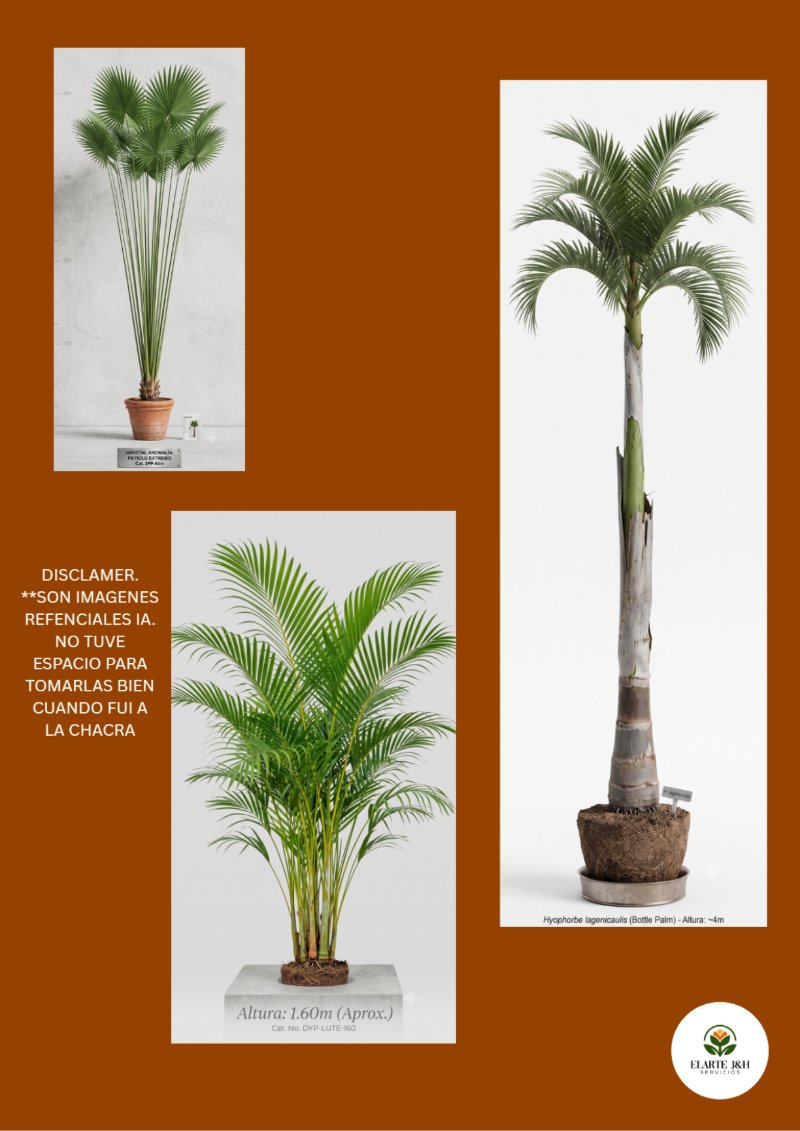 CATALOGO VIVERO ELARTE — page 30