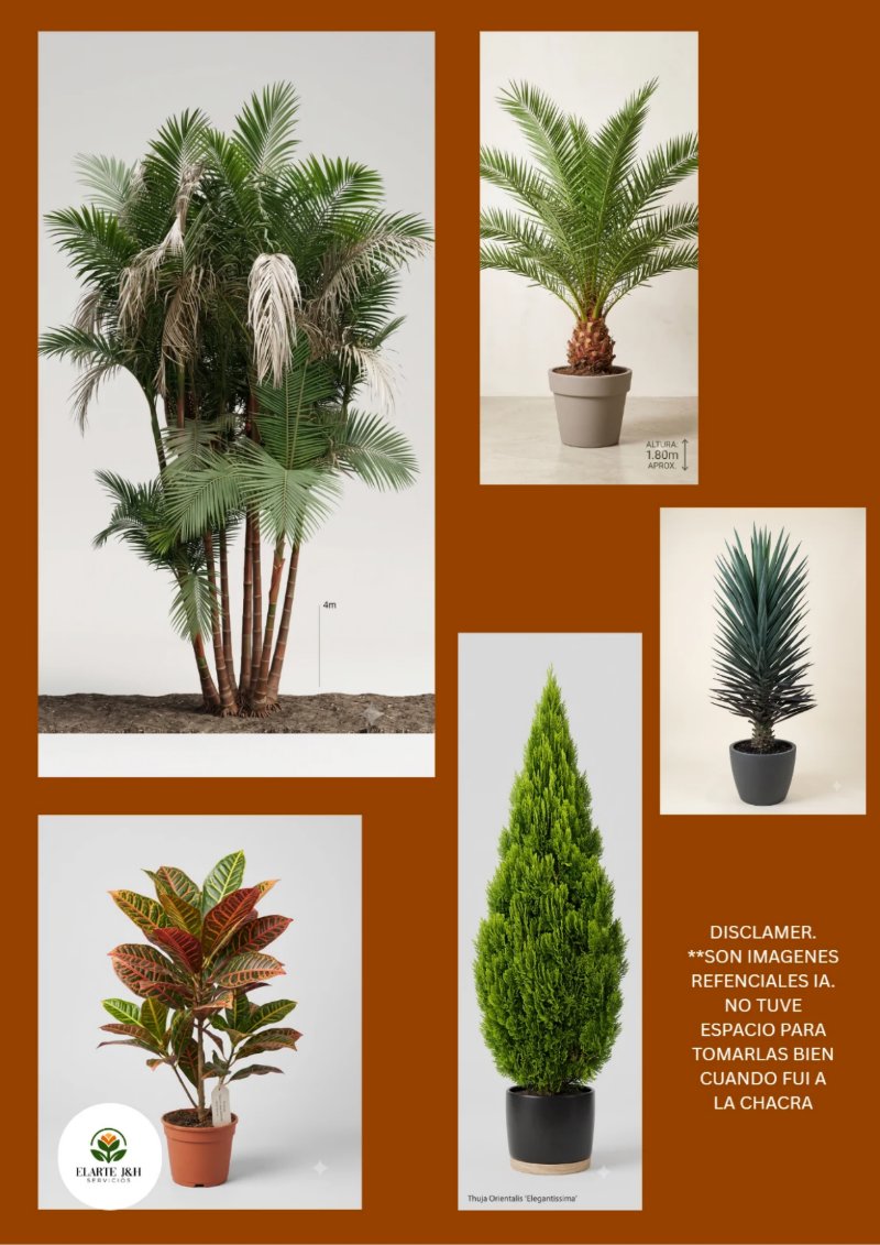CATALOGO VIVERO ELARTE — page 31