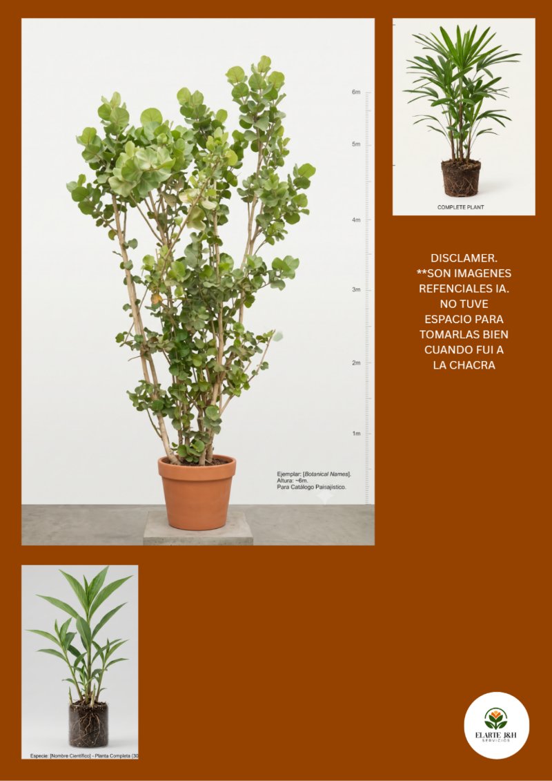 CATALOGO VIVERO ELARTE — page 32