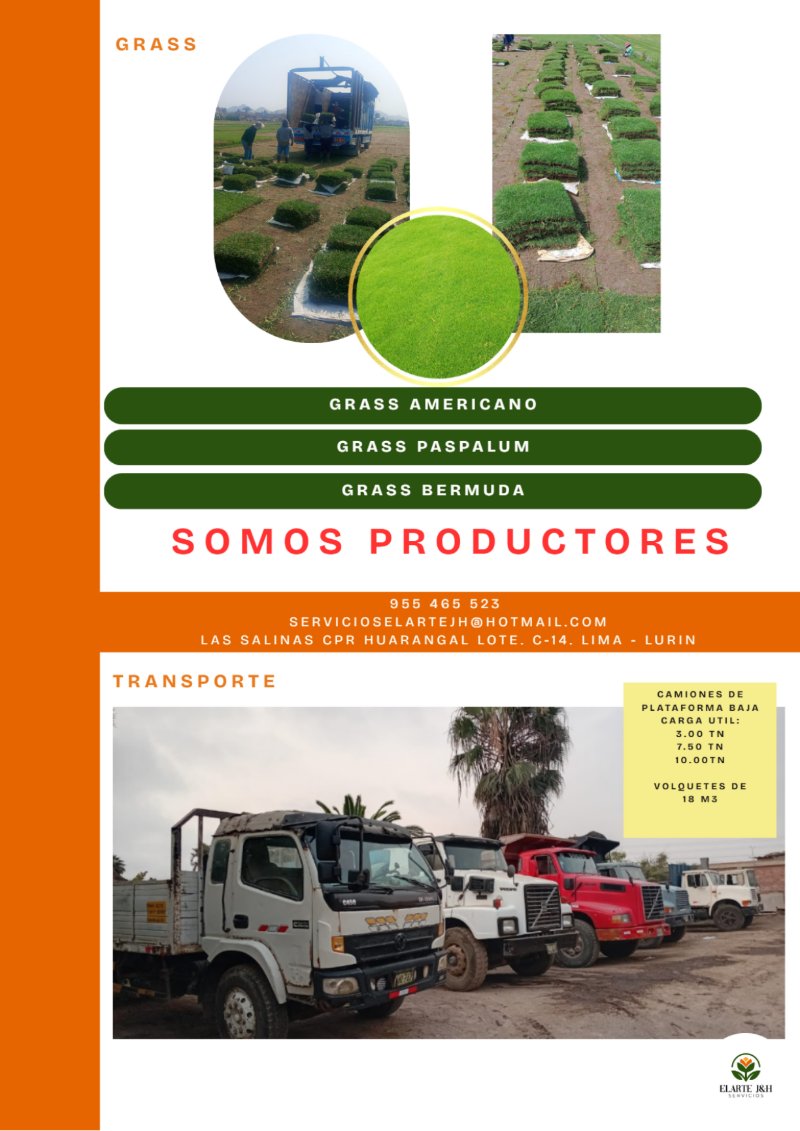 CATALOGO VIVERO ELARTE — page 34