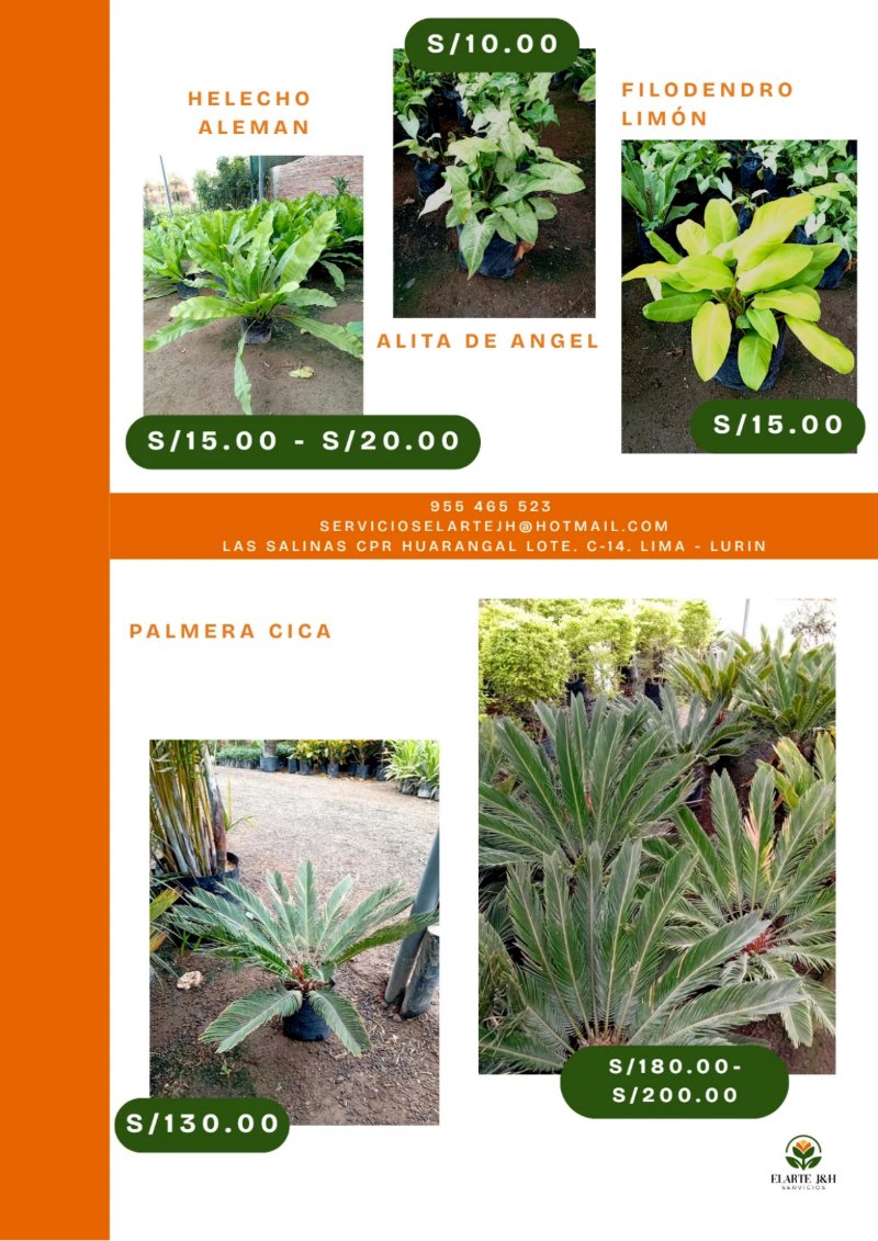 CATALOGO VIVERO ELARTE — page 5