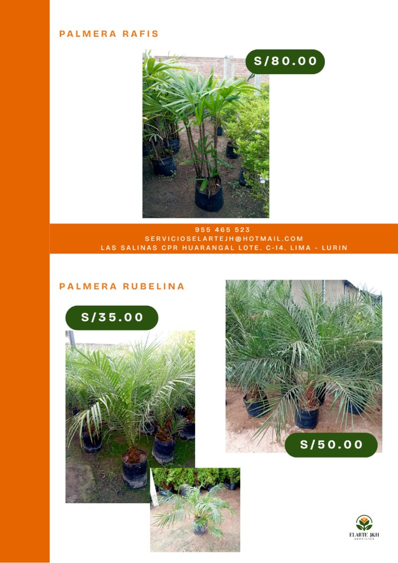 CATALOGO VIVERO ELARTE — page 7