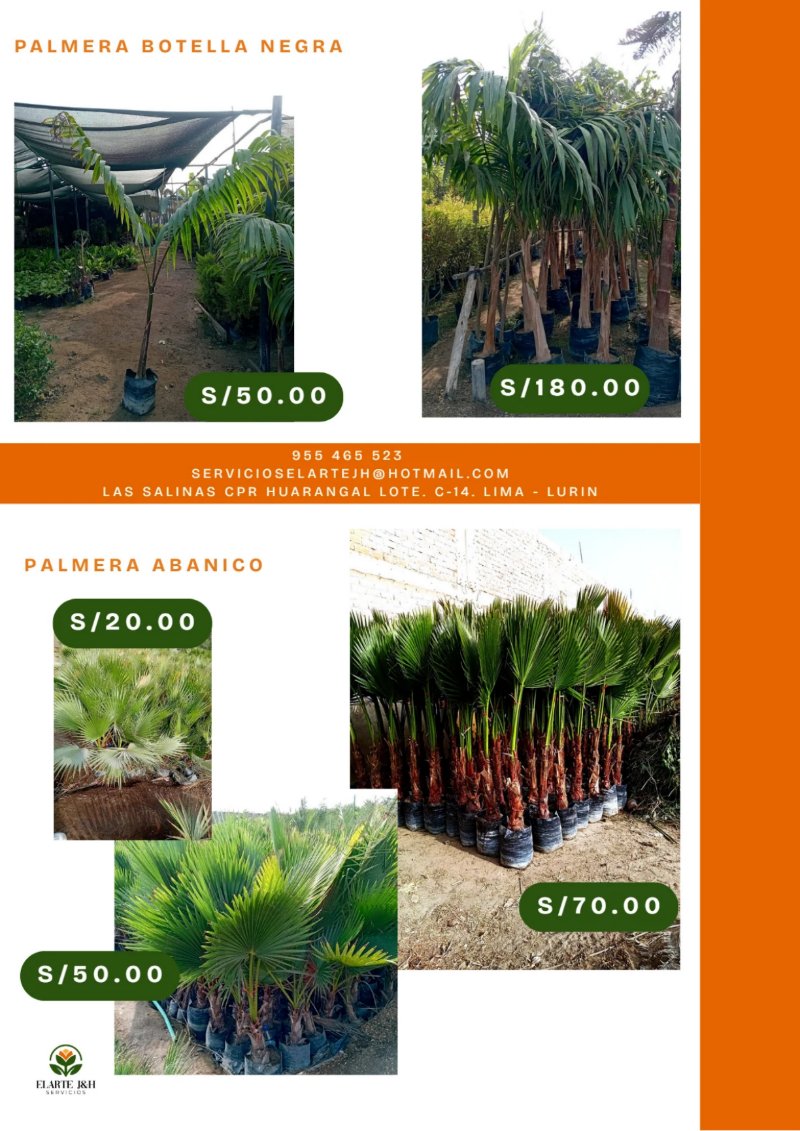 CATALOGO VIVERO ELARTE — page 8