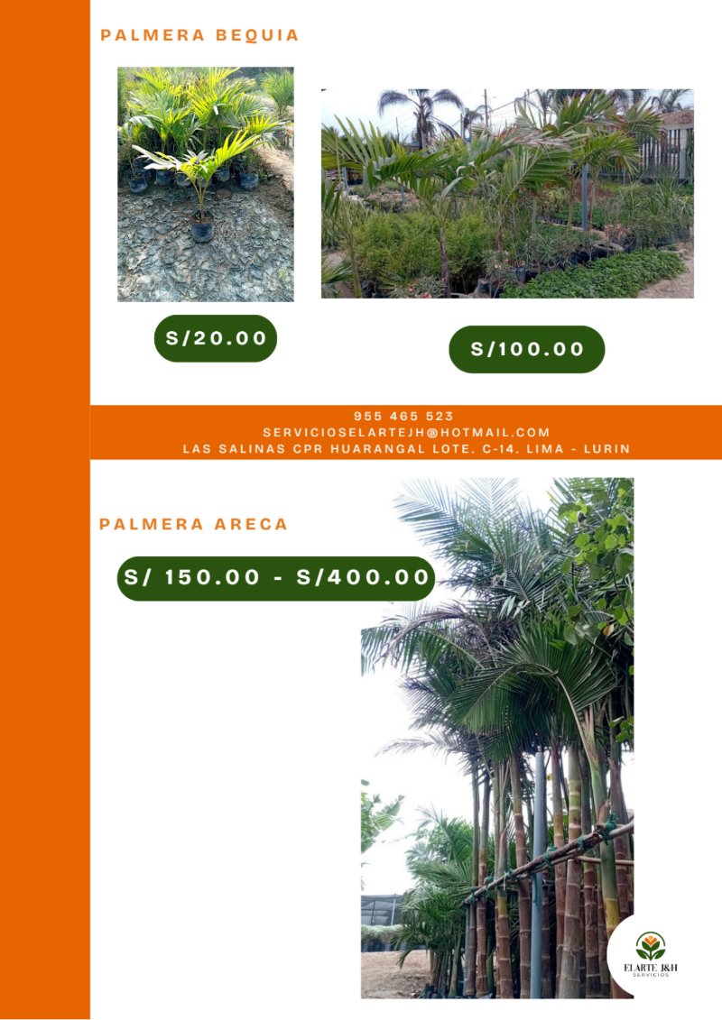 CATALOGO VIVERO ELARTE — page 9