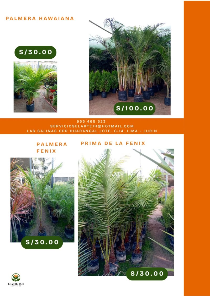 CATALOGO VIVERO ELARTE — page 10