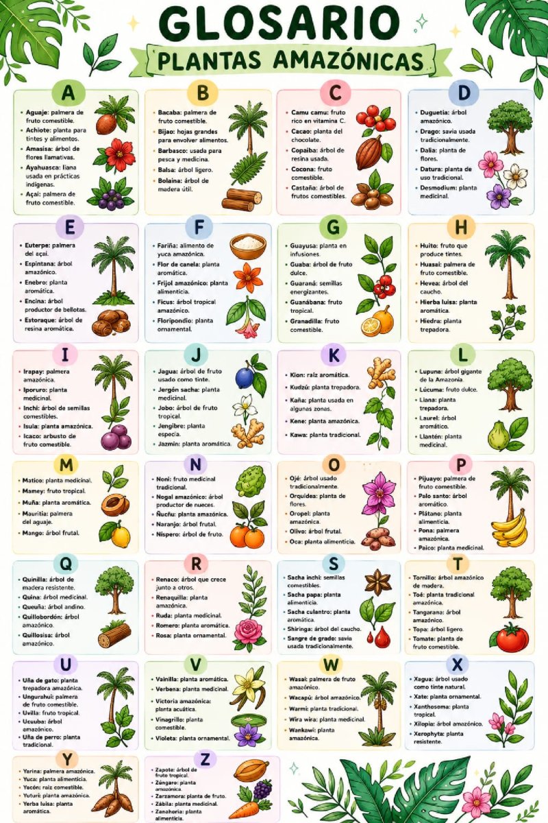 glosario palabras amazonicas — page 2
