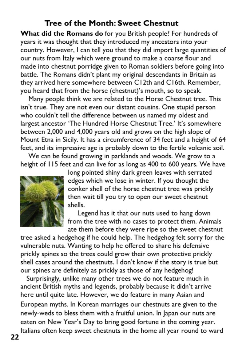 St Mary the Blesssed Virgin Magazine September 2026 — page 22