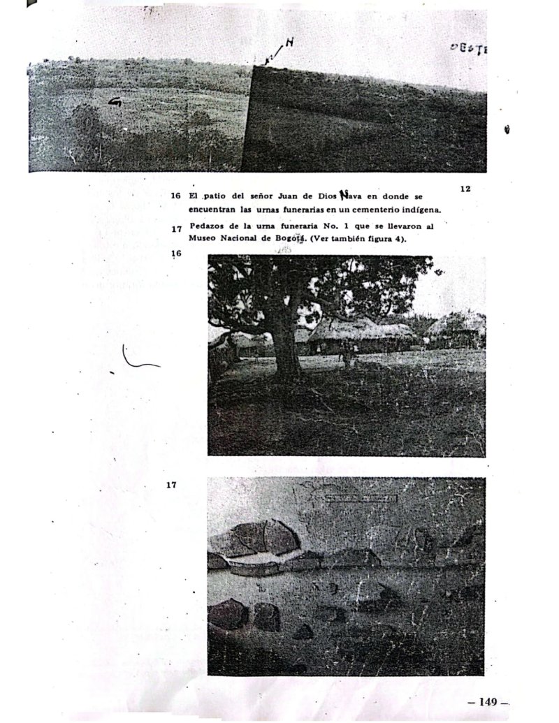 Microregional de Isla Fuerte — page 31