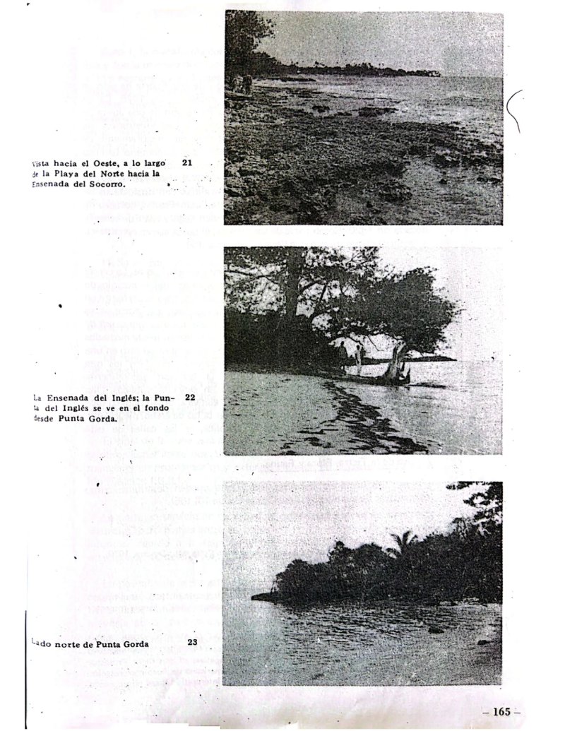 Microregional de Isla Fuerte — page 46