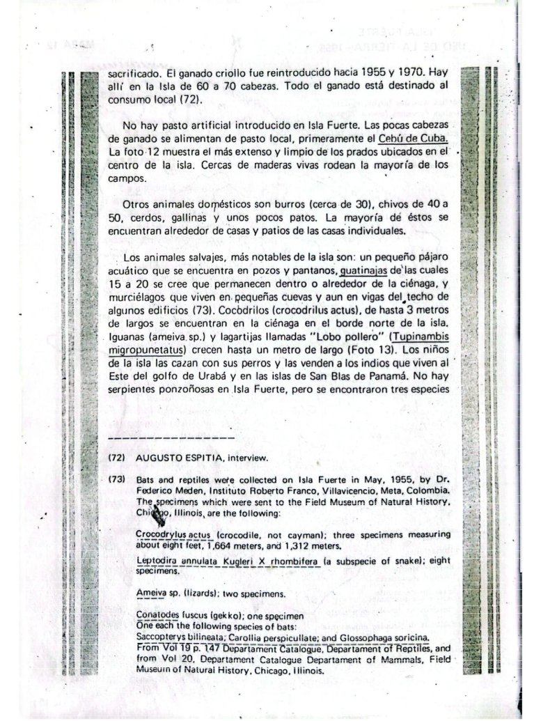 Microregional de Isla Fuerte — page 53