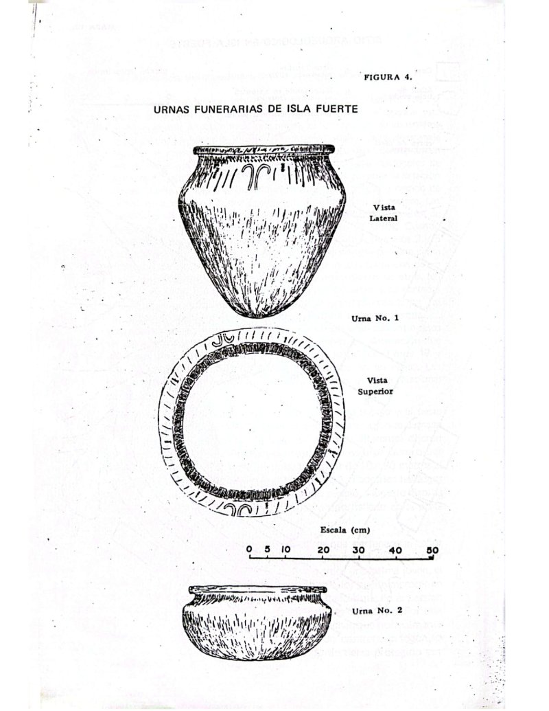 Microregional de Isla Fuerte — page 64