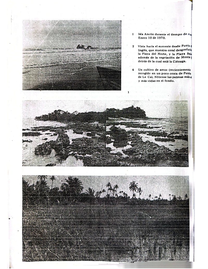 Microregional de Isla Fuerte — page 8