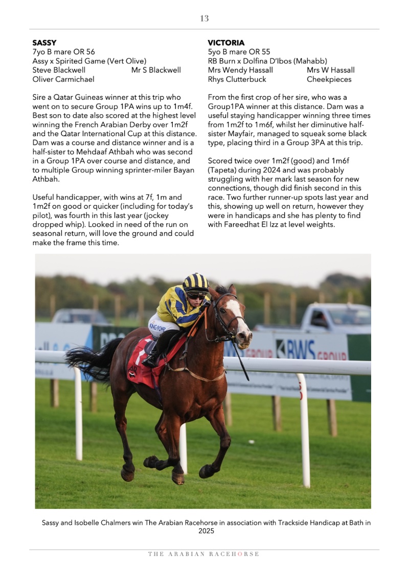 The Arabian Racehorse Spring 2026 — page 13