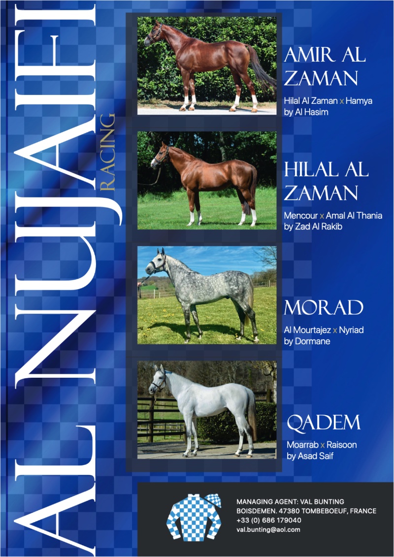 The Arabian Racehorse Spring 2026 — page 16