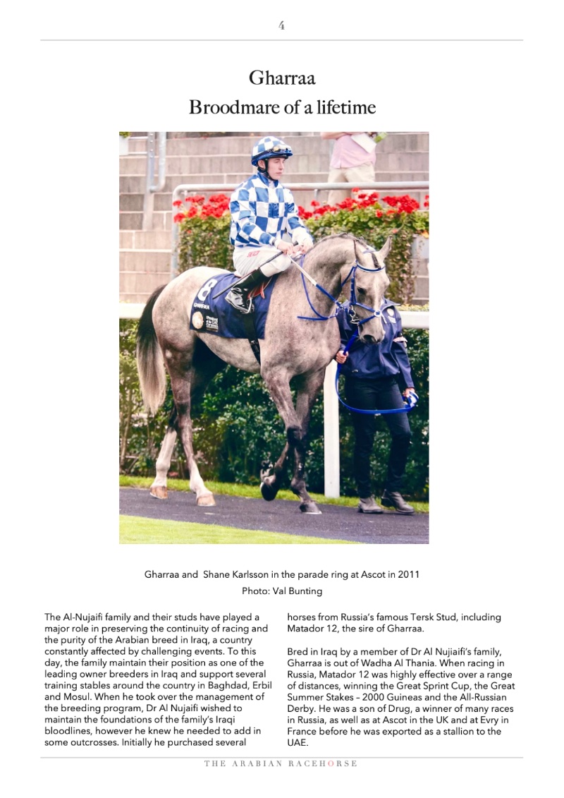 The Arabian Racehorse Spring 2026 — page 4