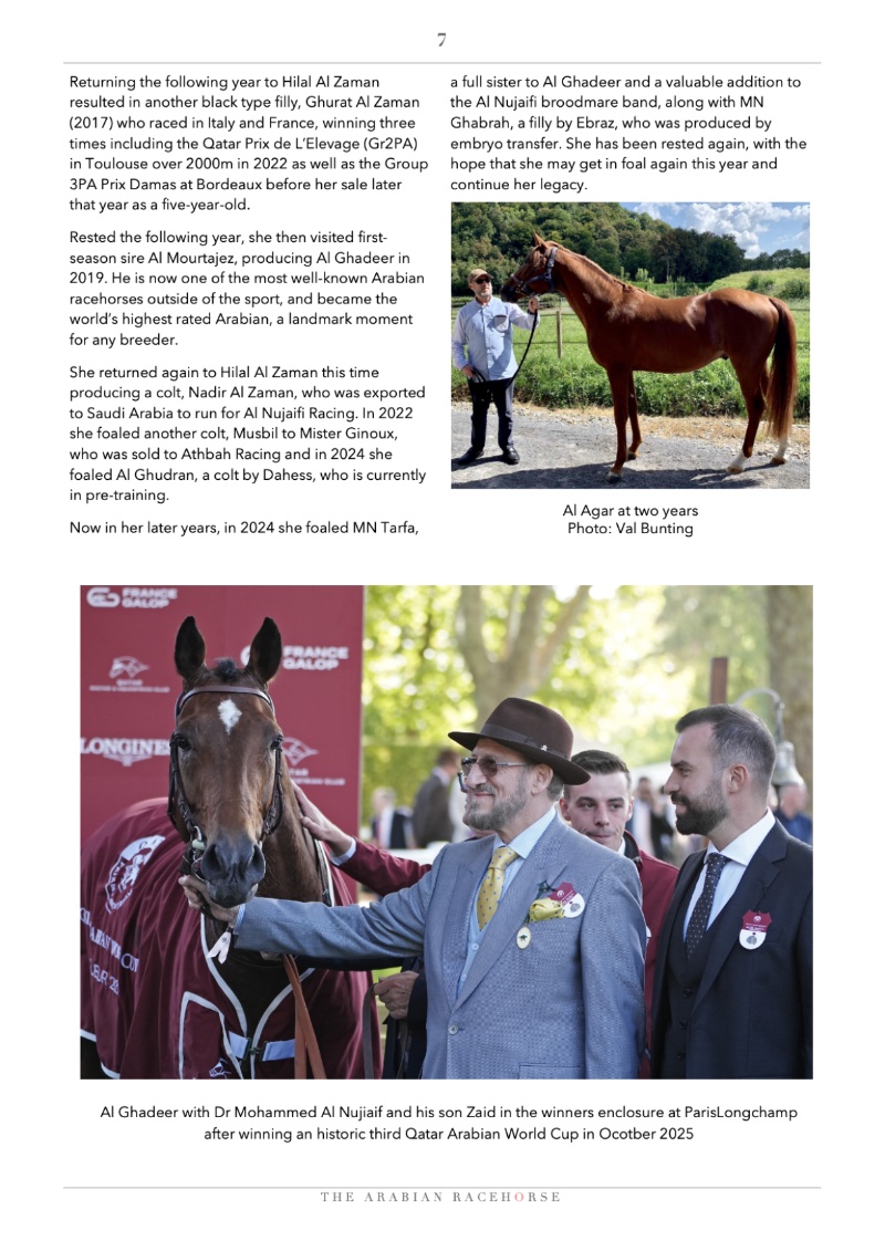 The Arabian Racehorse Spring 2026 — page 7