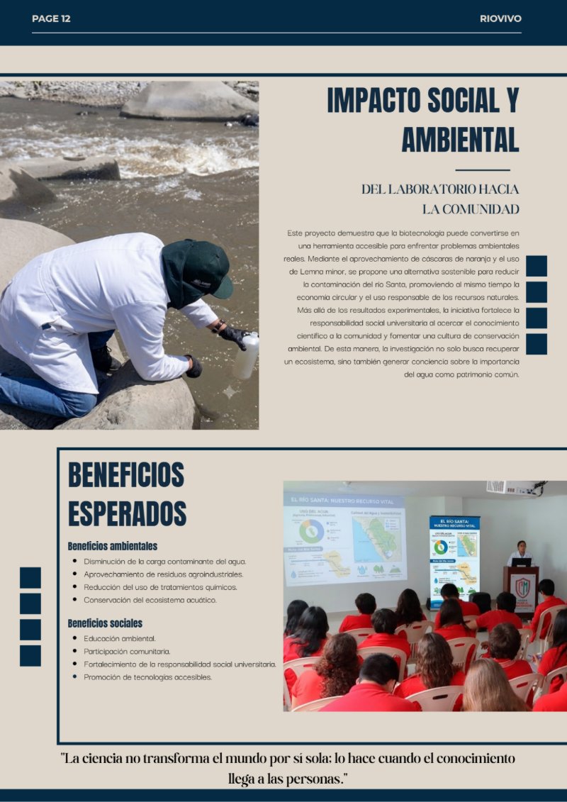 REVISTA_RSU — page 12