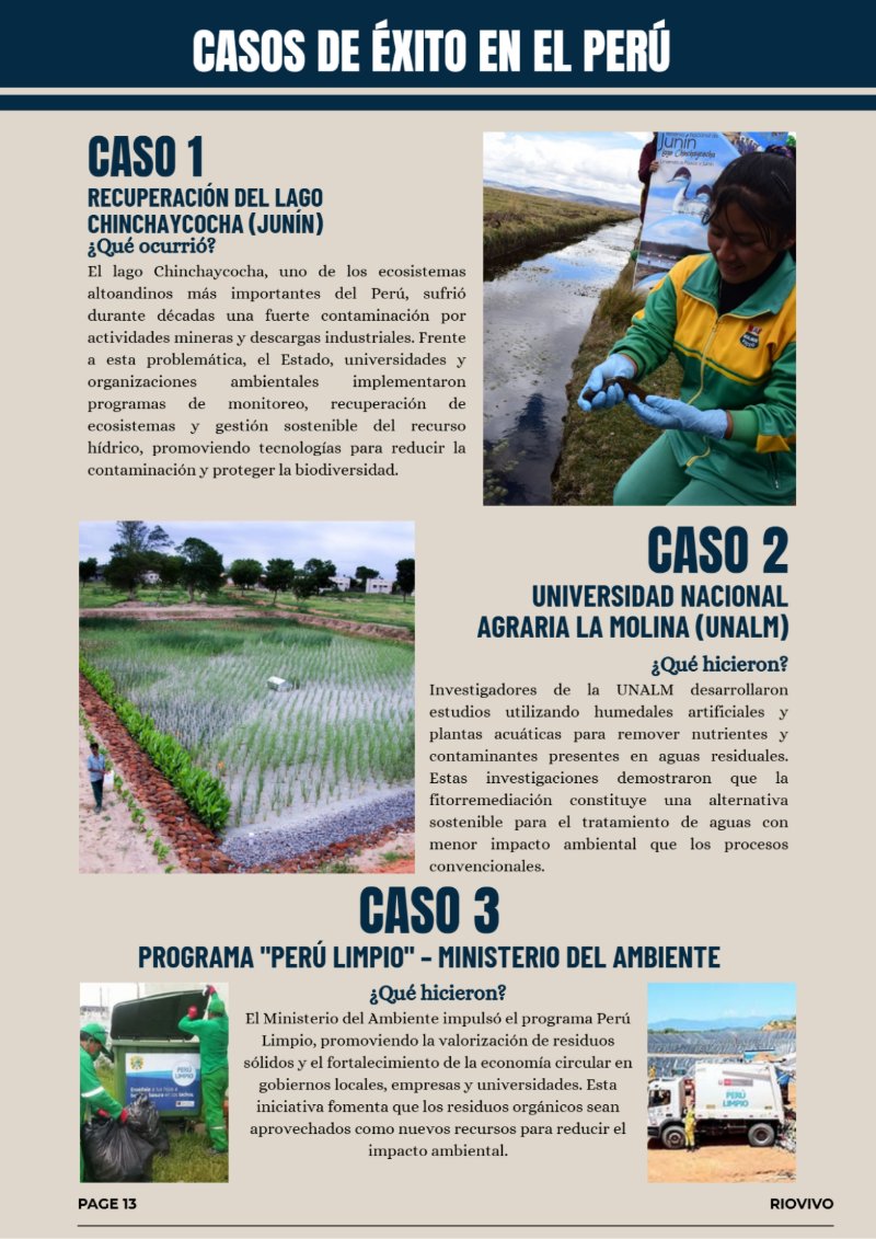 REVISTA_RSU — page 13