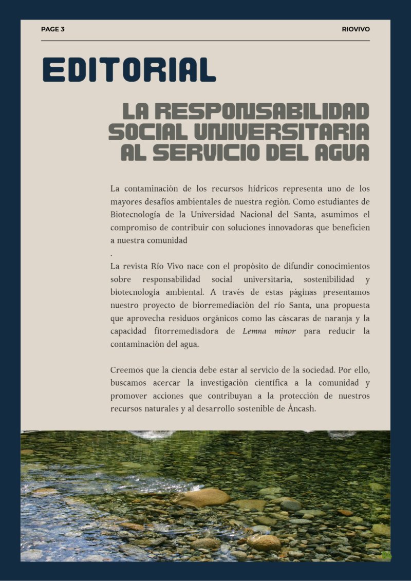 REVISTA_RSU — page 3