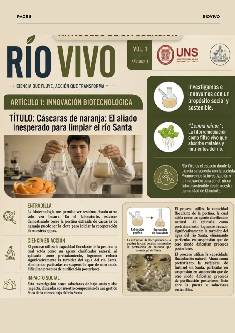 REVISTA_RSU — page 5