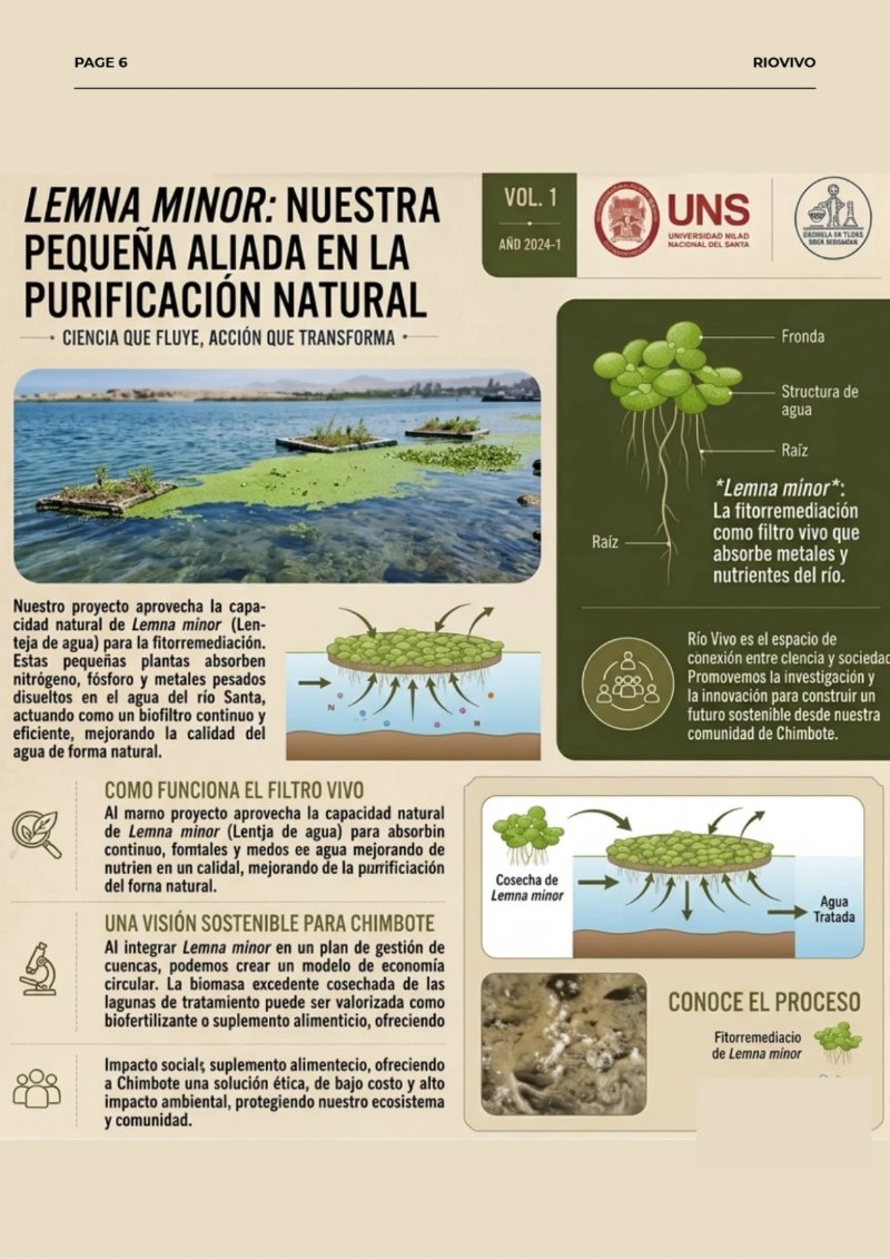 REVISTA_RSU — page 6