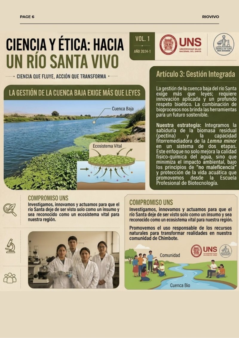 REVISTA_RSU — page 7