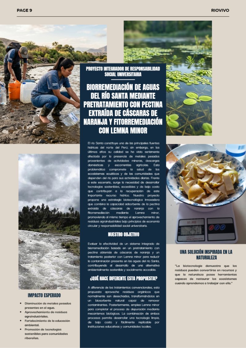REVISTA_RSU — page 9