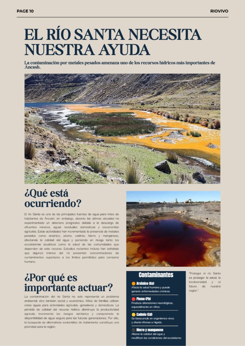 REVISTA_RSU — page 10