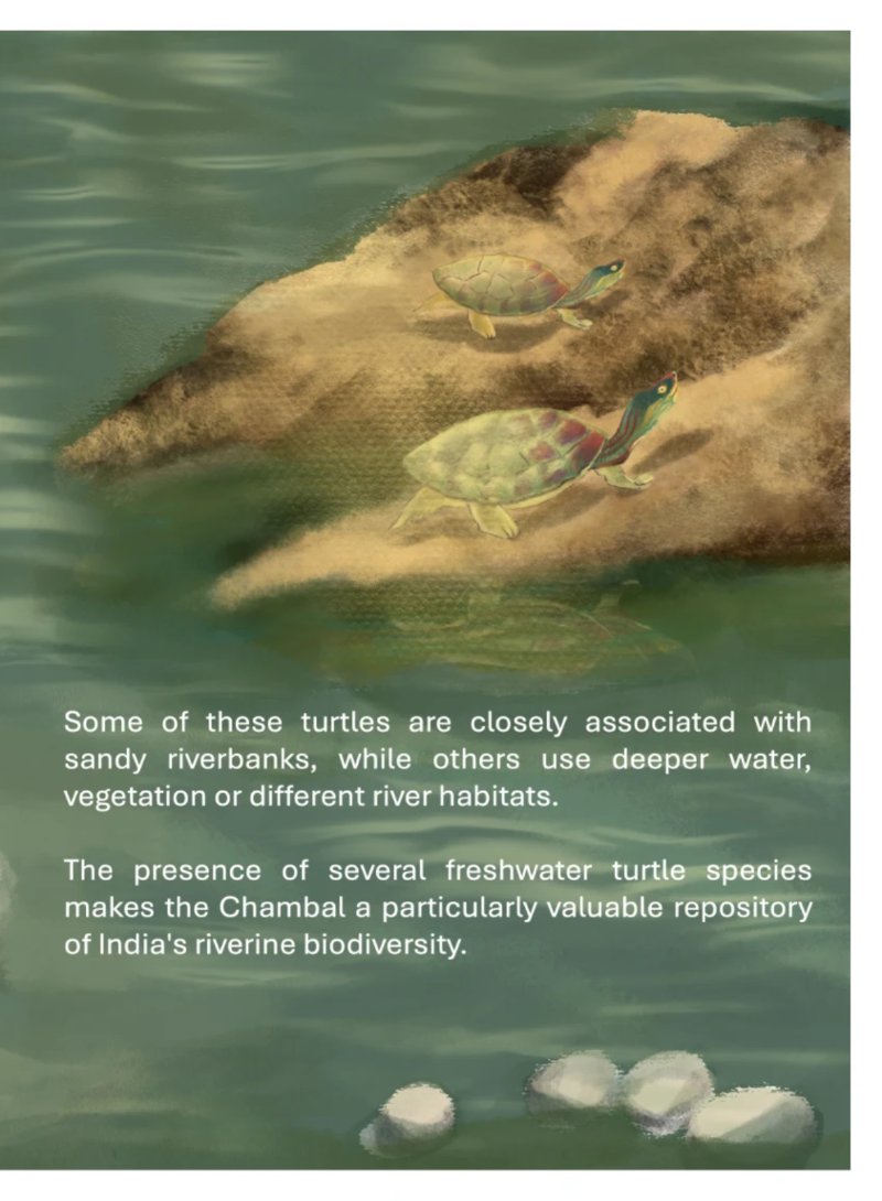 Boatman_english — page 15