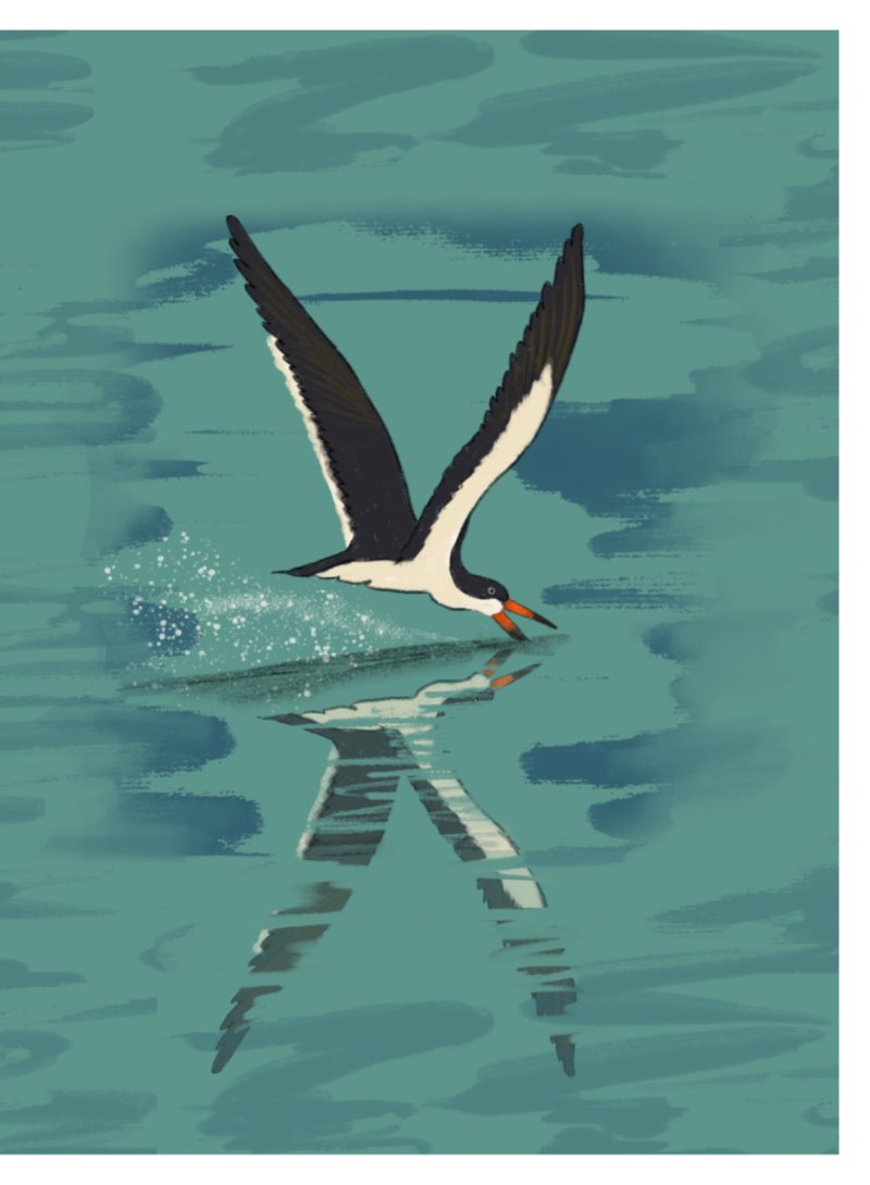Boatman_english — page 17