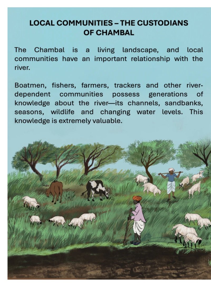 Boatman_english — page 20