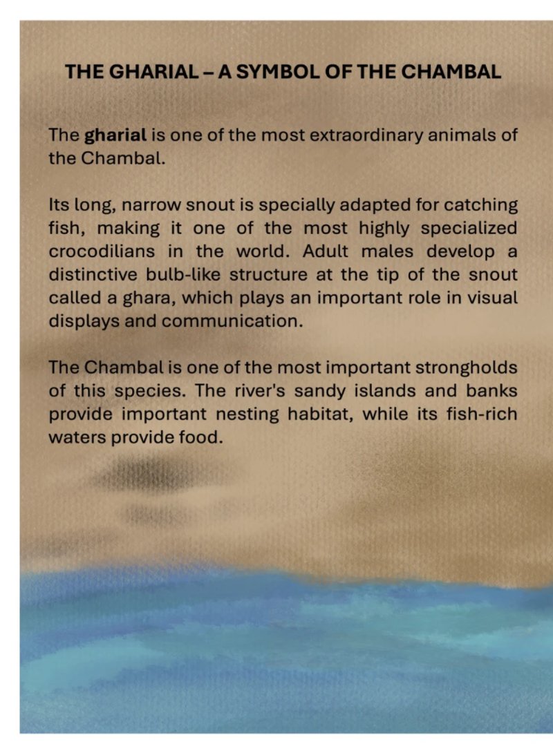 Boatman_english — page 10