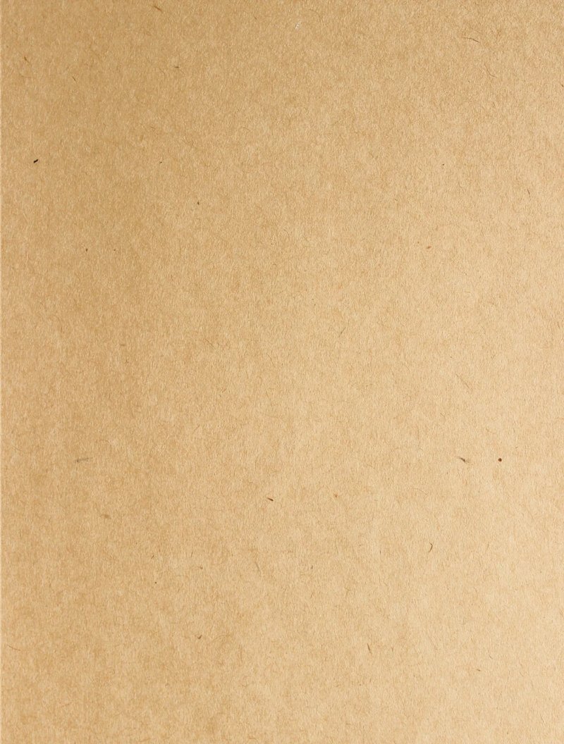 Breve doumento de referencia coloquial para peronas fuera de la costa — page 15