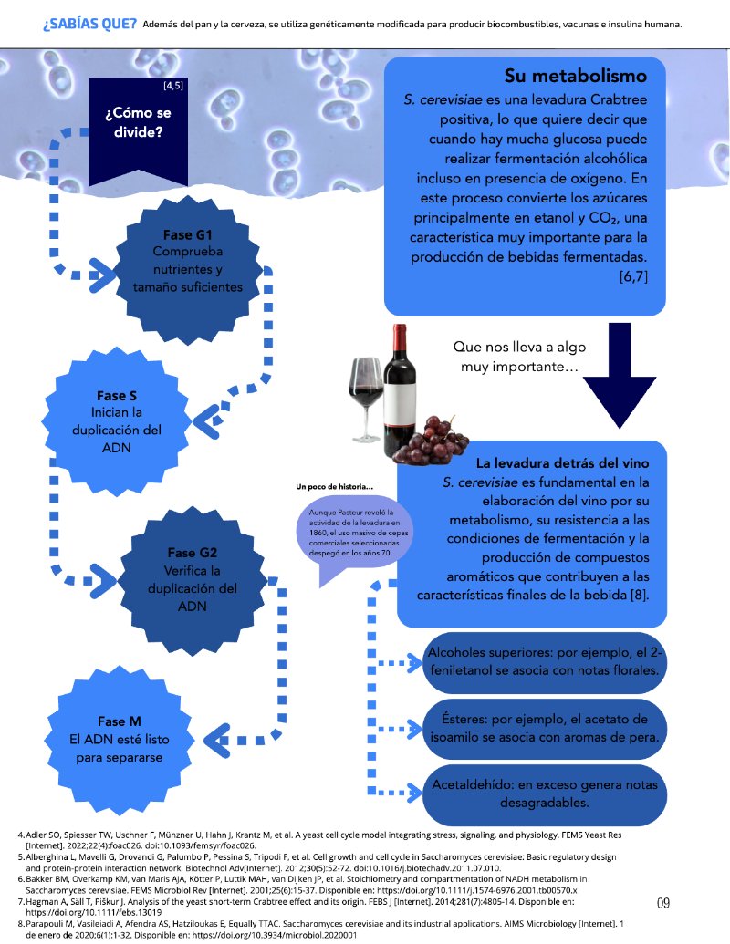 ¿Cómo funciona? Tipos de células — page 11