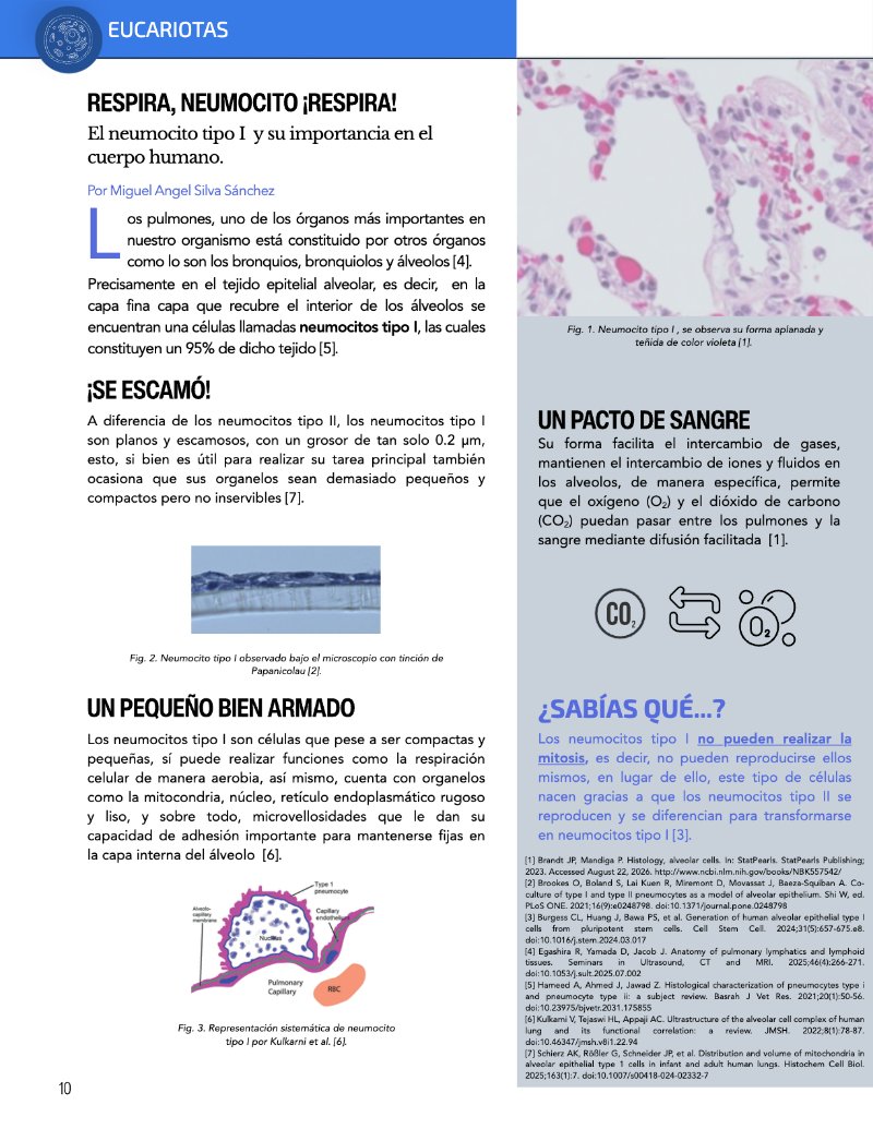 ¿Cómo funciona? Tipos de células — page 12