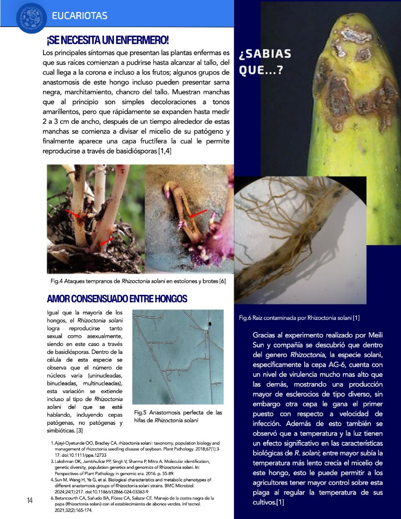 ¿Cómo funciona? Tipos de células — page 16