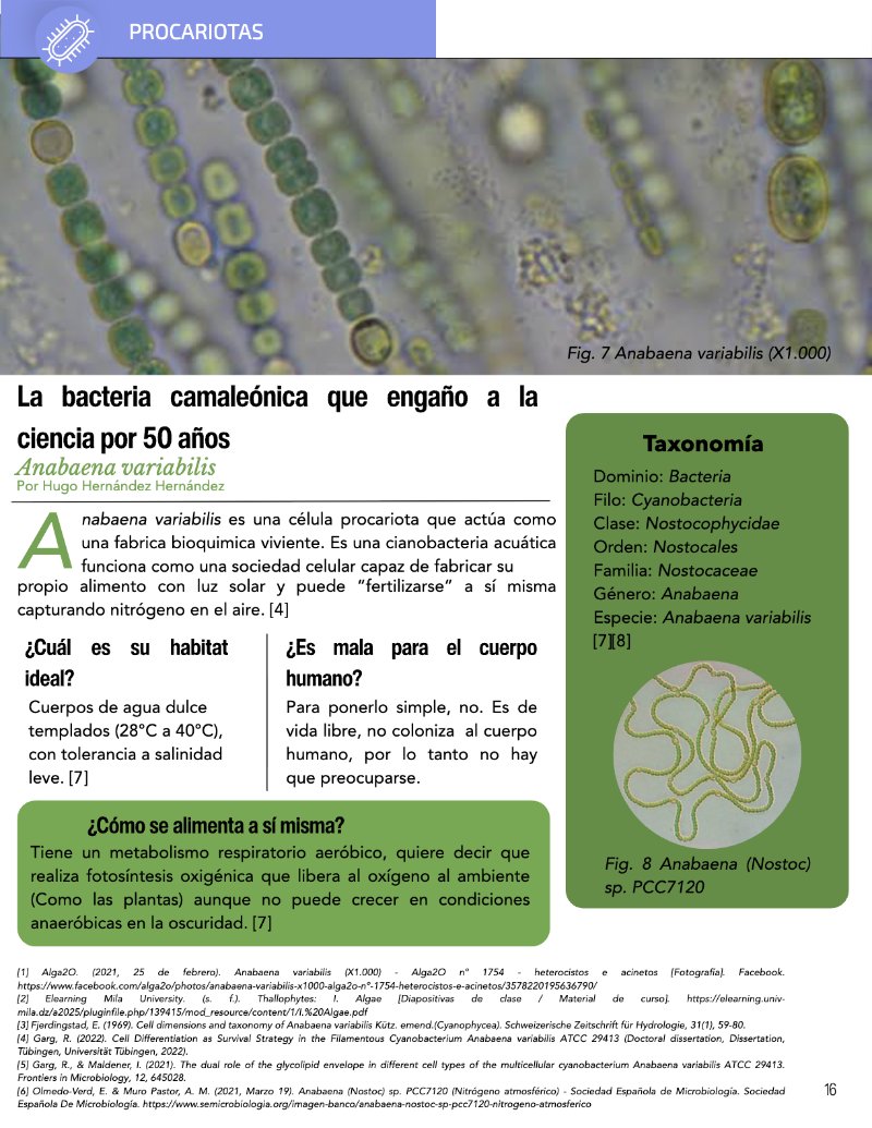 ¿Cómo funciona? Tipos de células — page 18