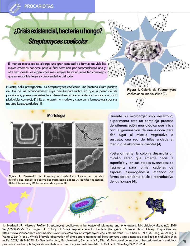¿Cómo funciona? Tipos de células — page 20