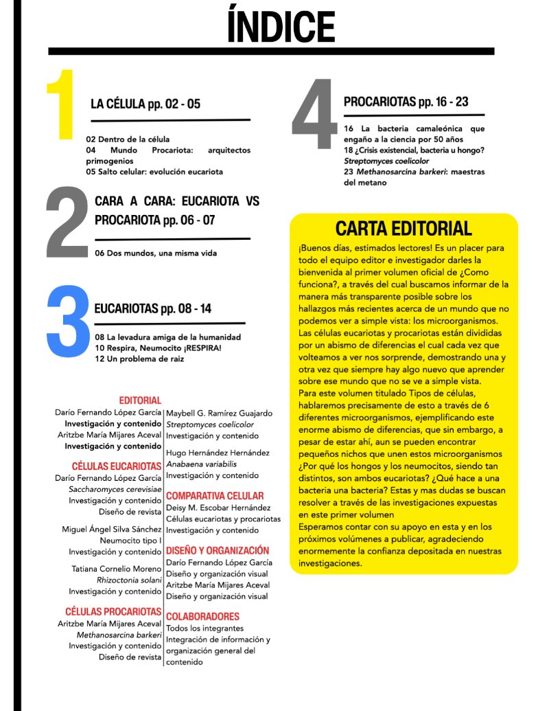 ¿Cómo funciona? Tipos de células — page 3