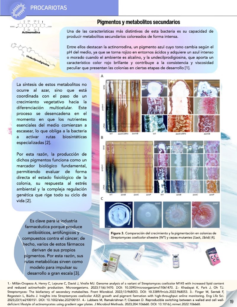 ¿Cómo funciona? Tipos de células — page 21