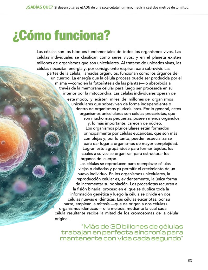 ¿Cómo funciona? Tipos de células — page 5