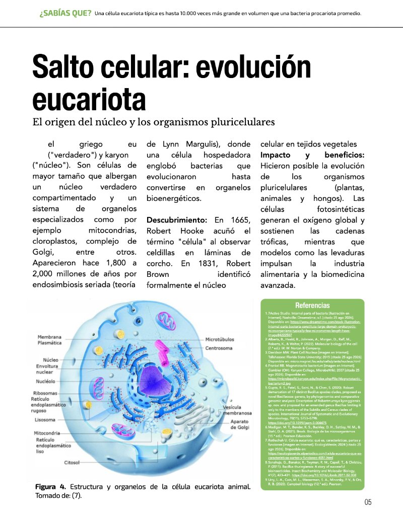 ¿Cómo funciona? Tipos de células — page 7