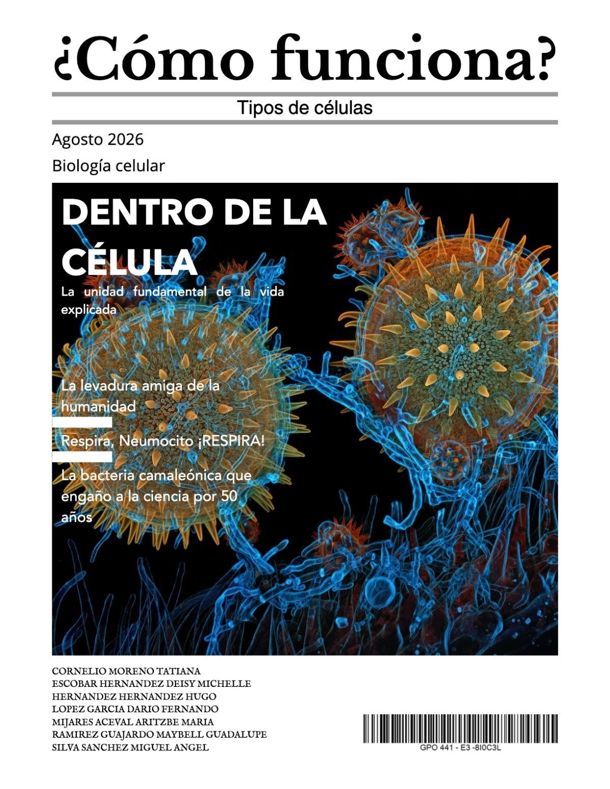 ¿Cómo funciona? Tipos de células