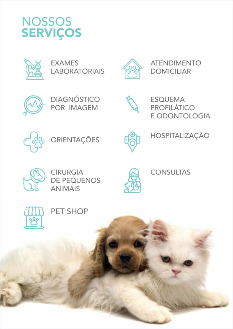 CADERNO DE VACINA - separado por pagina V2 — page 2
